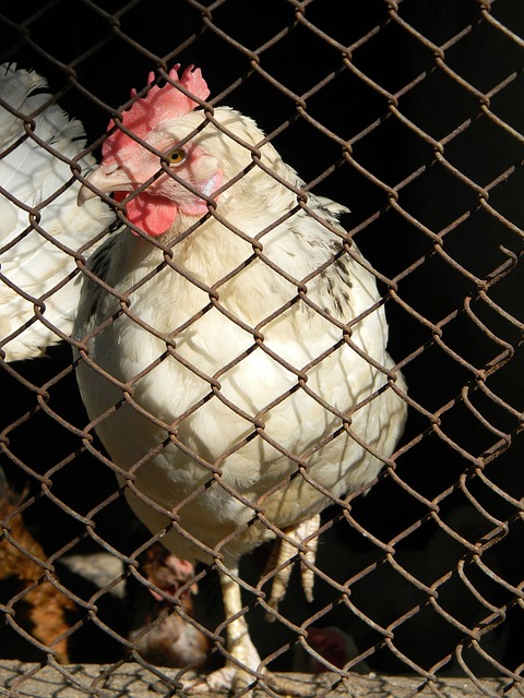 需要帮助的 需要帮助的