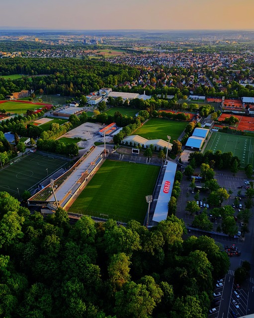 描繪了一幅 描繪了一幅