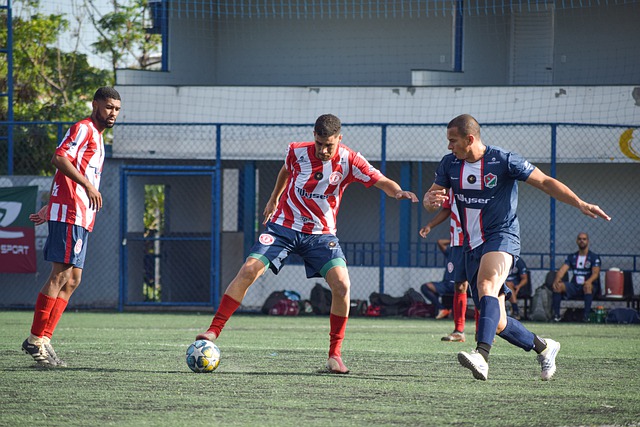 藏的对自治 藏的对自治