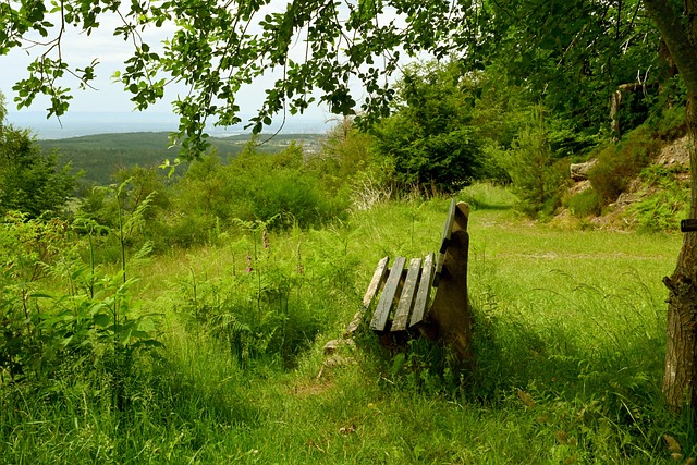 还是充满好 还是充满好