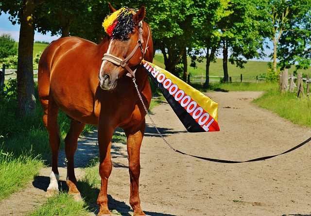 与其直接成 与其直接成